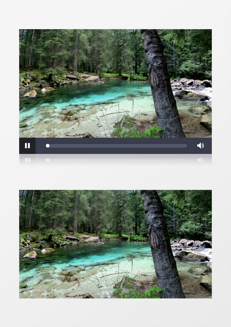 山林中的溪水在缓缓的流淌实拍视频素材
