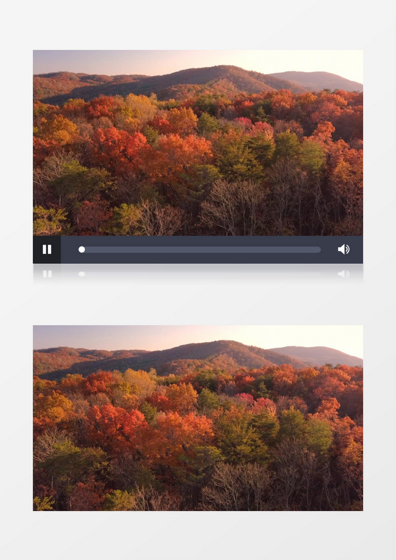 航拍山林上变红的树木实拍视频素材实拍视频素材