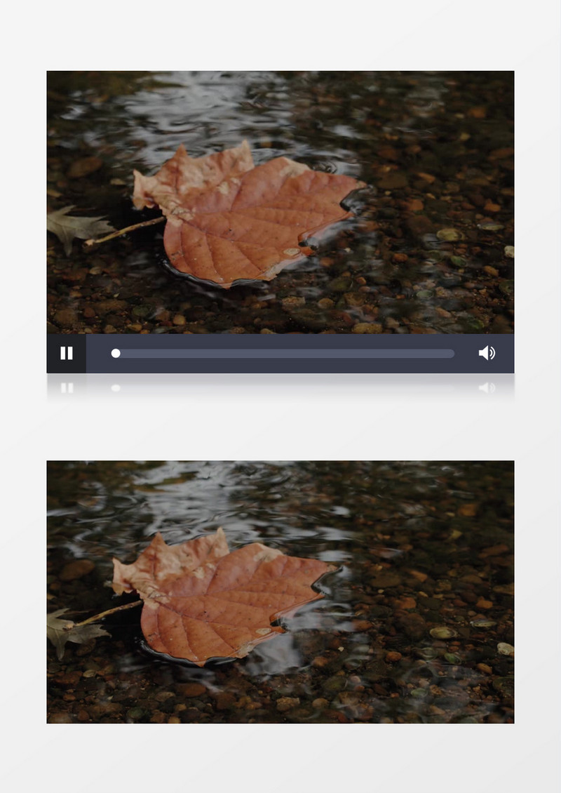一个枯黄的树叶漂浮在水面上实拍视频素材