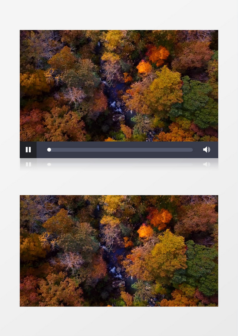 航拍秋季的丛林和林中的溪水实拍视频素材