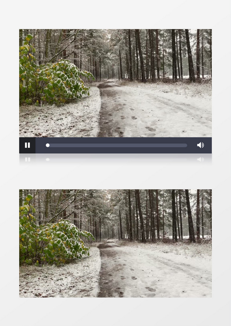 冬季雪花缓慢飘落在地面上实拍视频素材