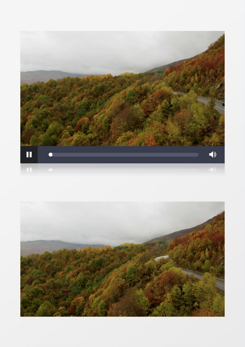 秋季茂盛的植被逐渐变黄实拍视频素材