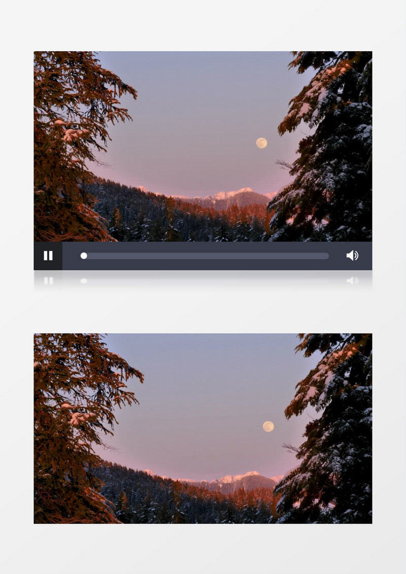 傍晚雪后的森林实拍视频素材