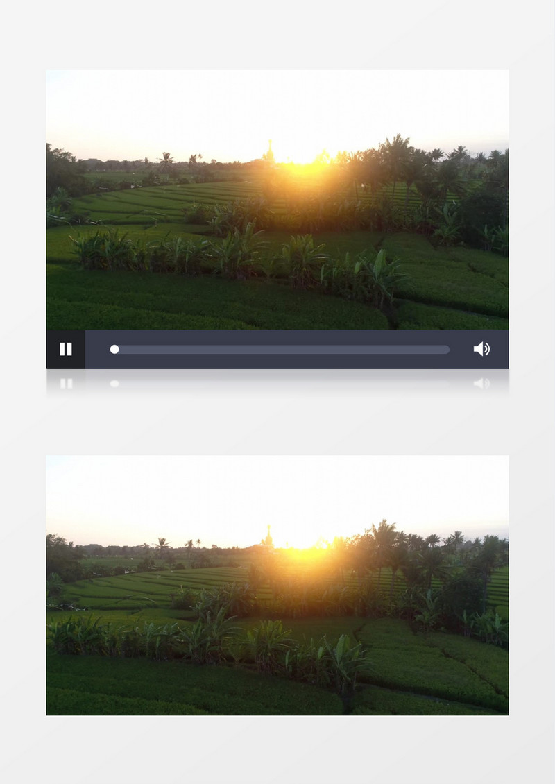 阳光照耀在广阔的田地中实拍视频素材