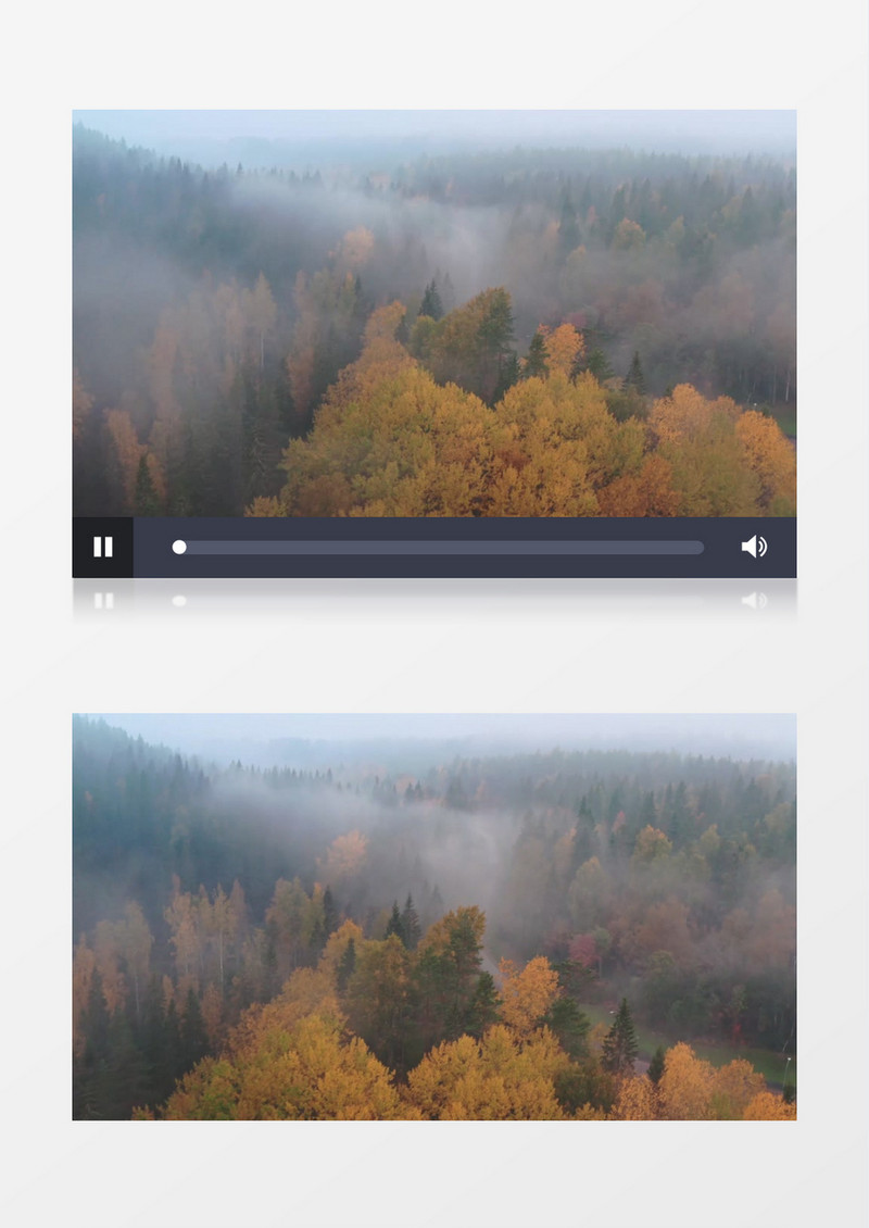 航拍森林及森林上空的迷雾实拍视频素材