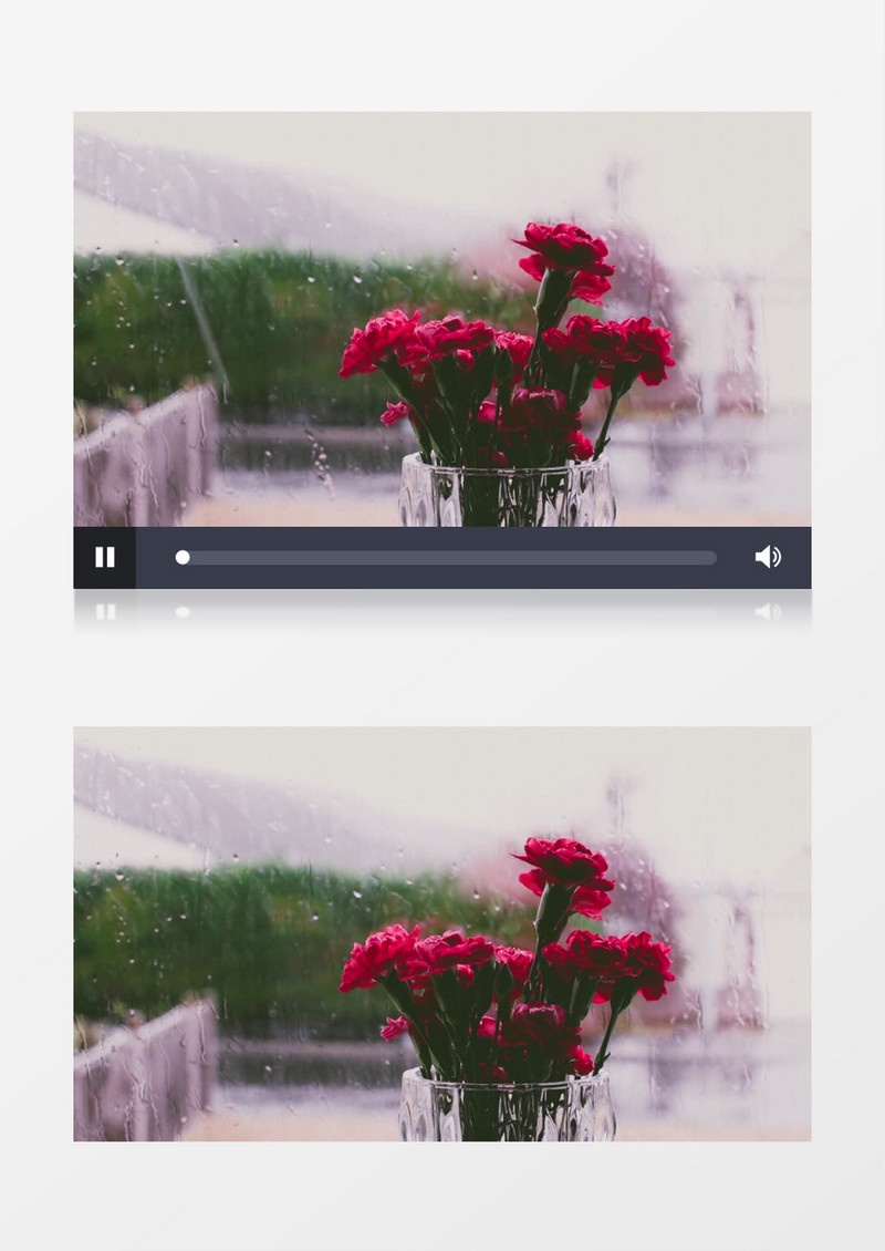 下雨窗前花瓶中鲜艳的康乃馨实拍视频素材