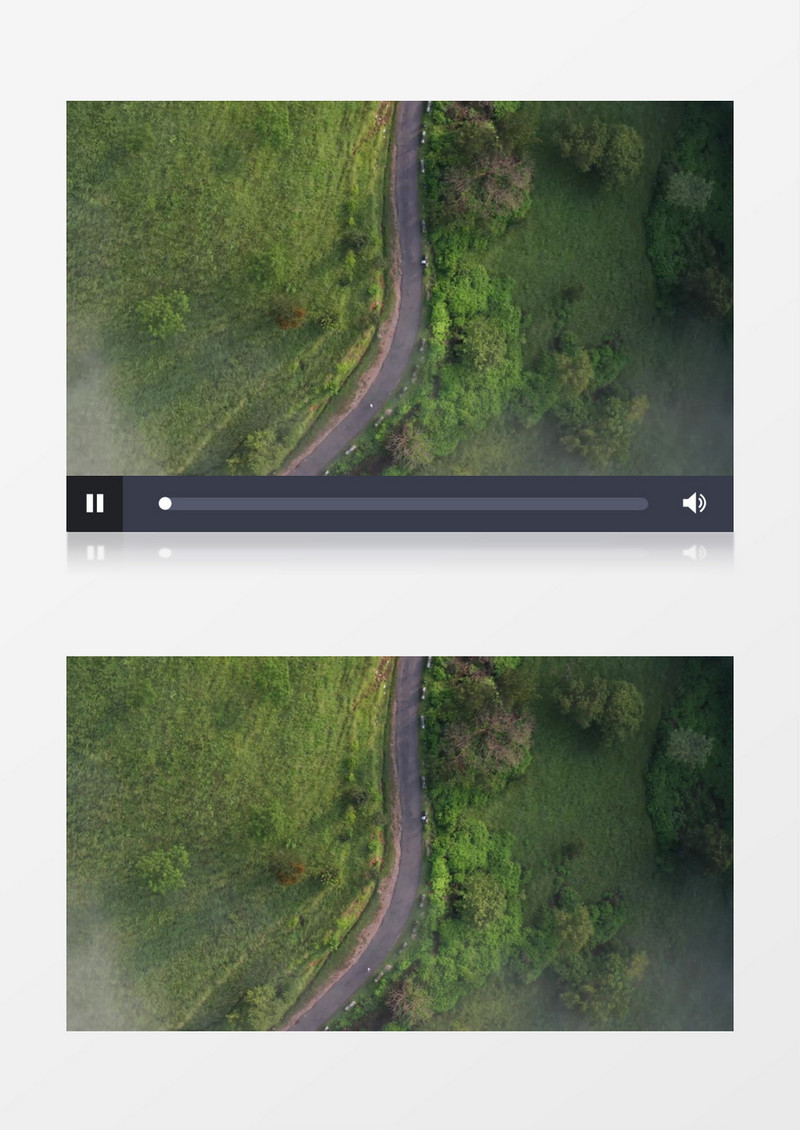 森林中的公路及两侧的植被实拍视频素材