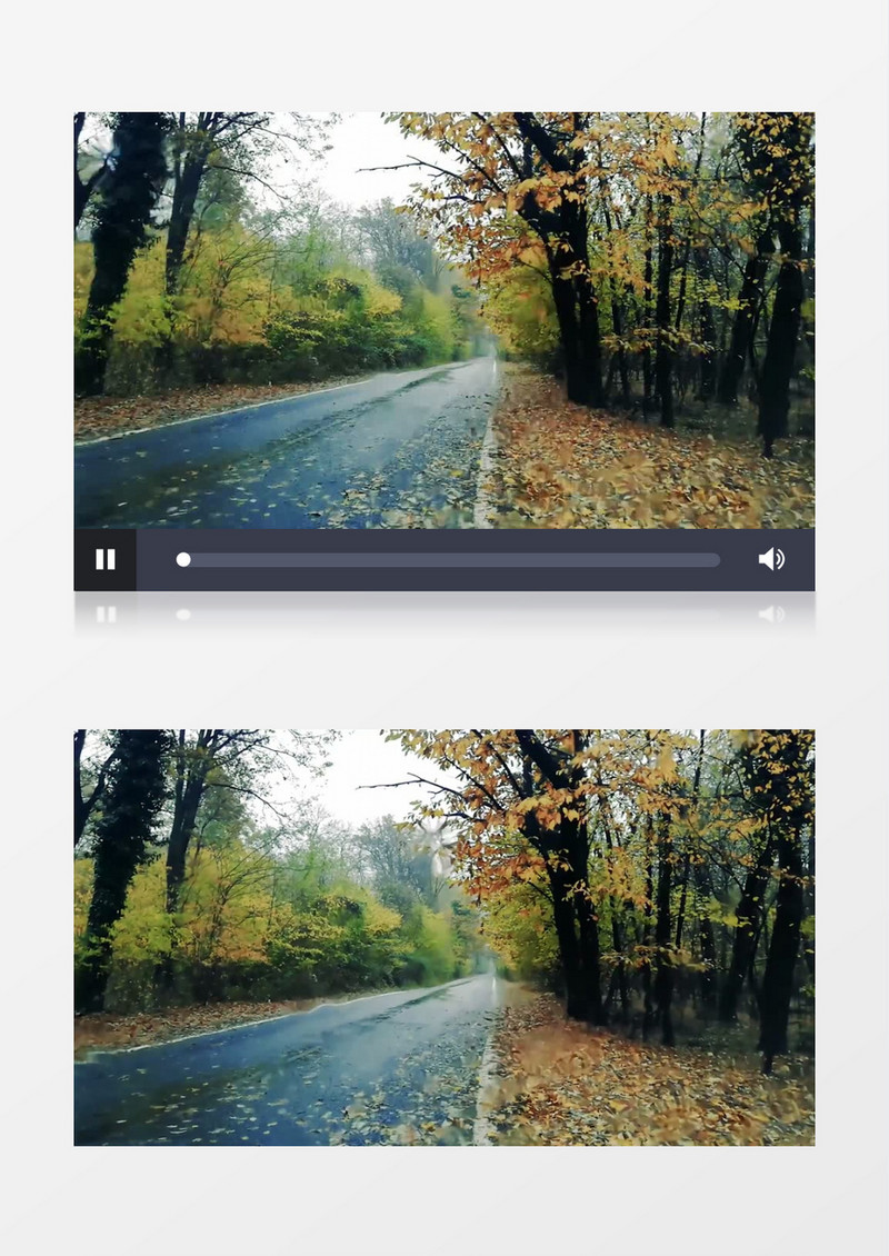 秋季森林的雨水滴在路上的落叶中实拍视频素材