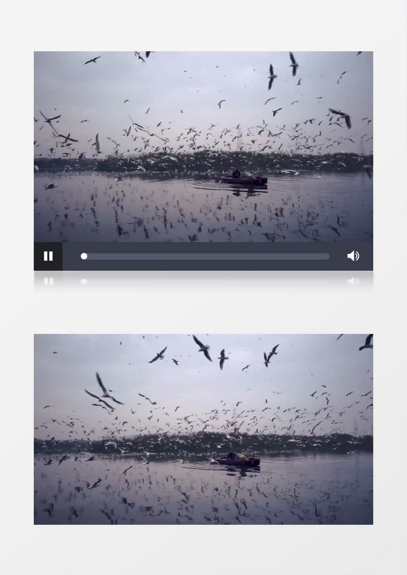 湖面上被鸟群围绕的小船实拍视频素材