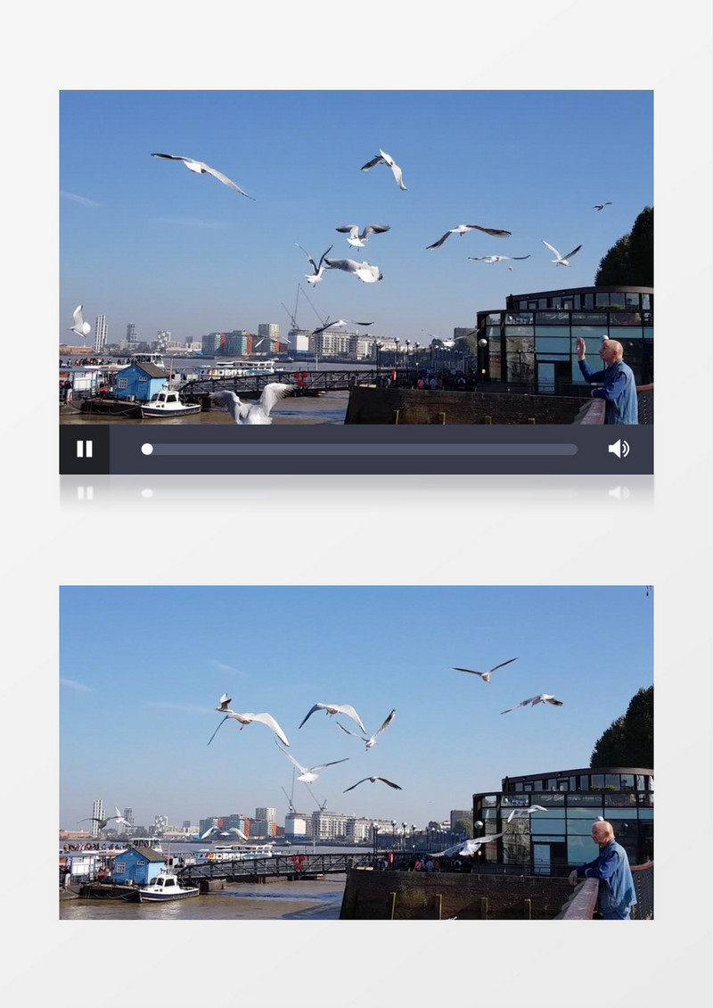 海鸥在港口自由飞翔实拍视频素材