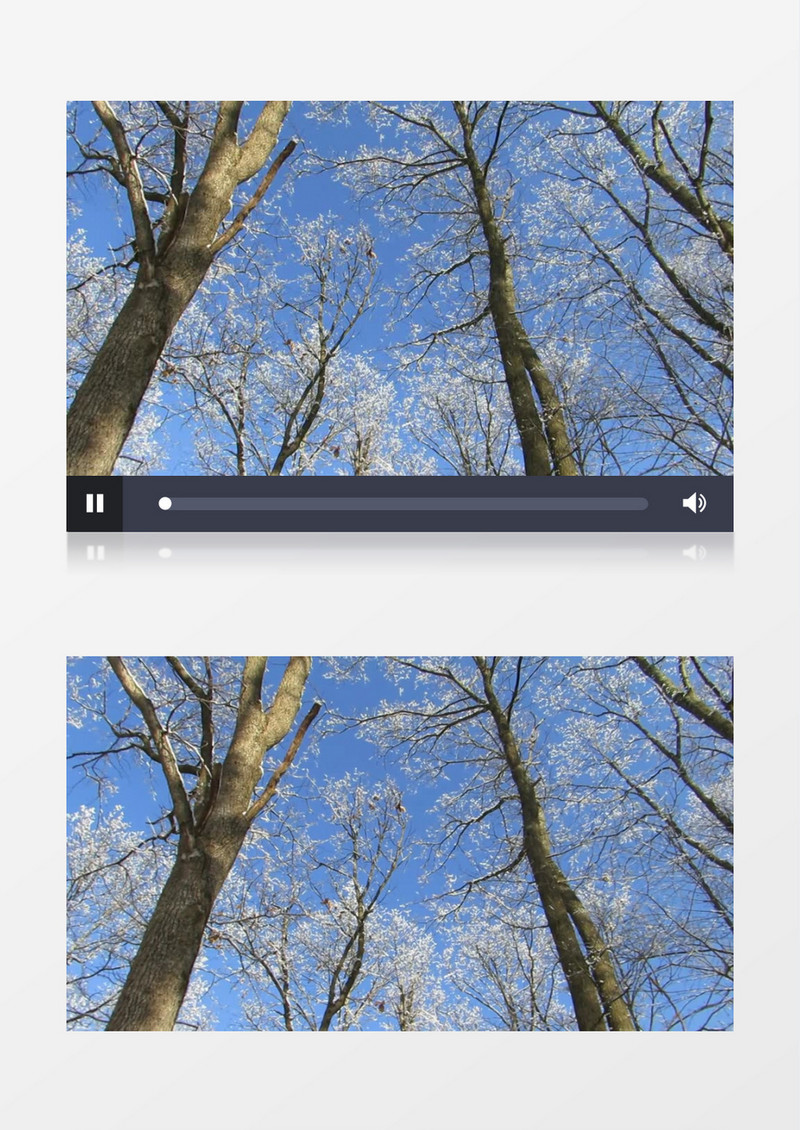 蓝天夏日树木实拍视频 