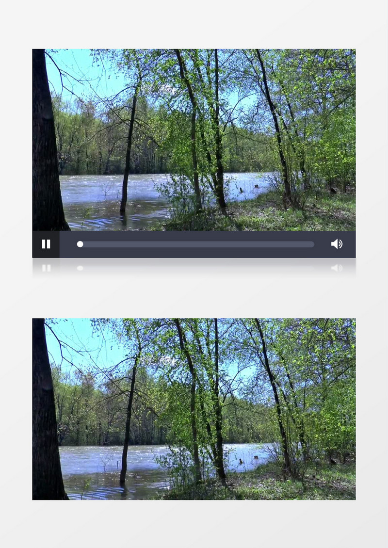 实拍微风中粼粼的河水摇曳的小树实拍视频素材   
