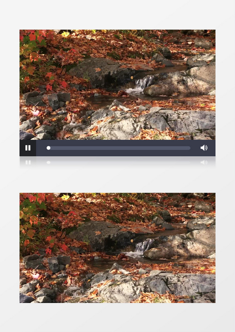 安静秋天枫叶溪水近景实拍素材视频