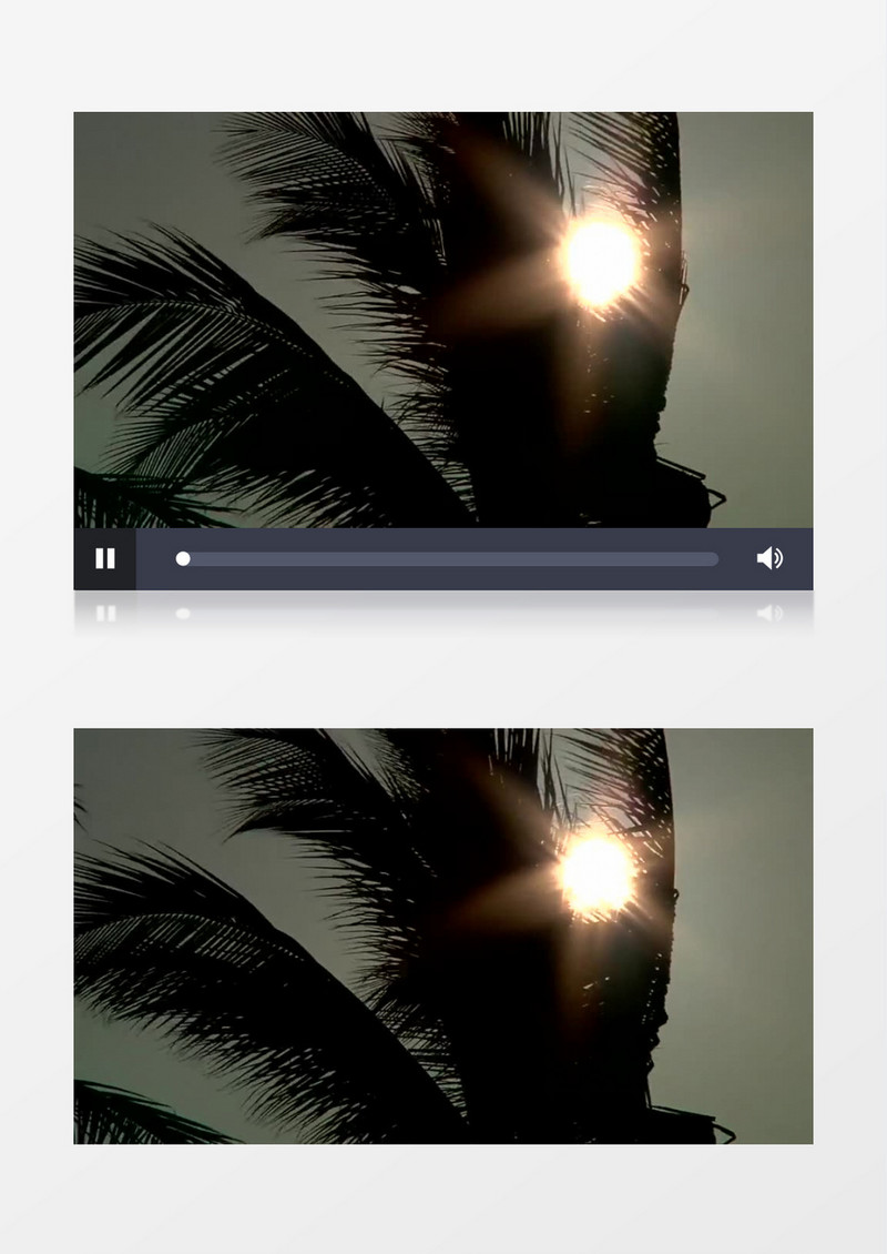 清爽自然景观棕榈树沙滩近景实拍视频素材