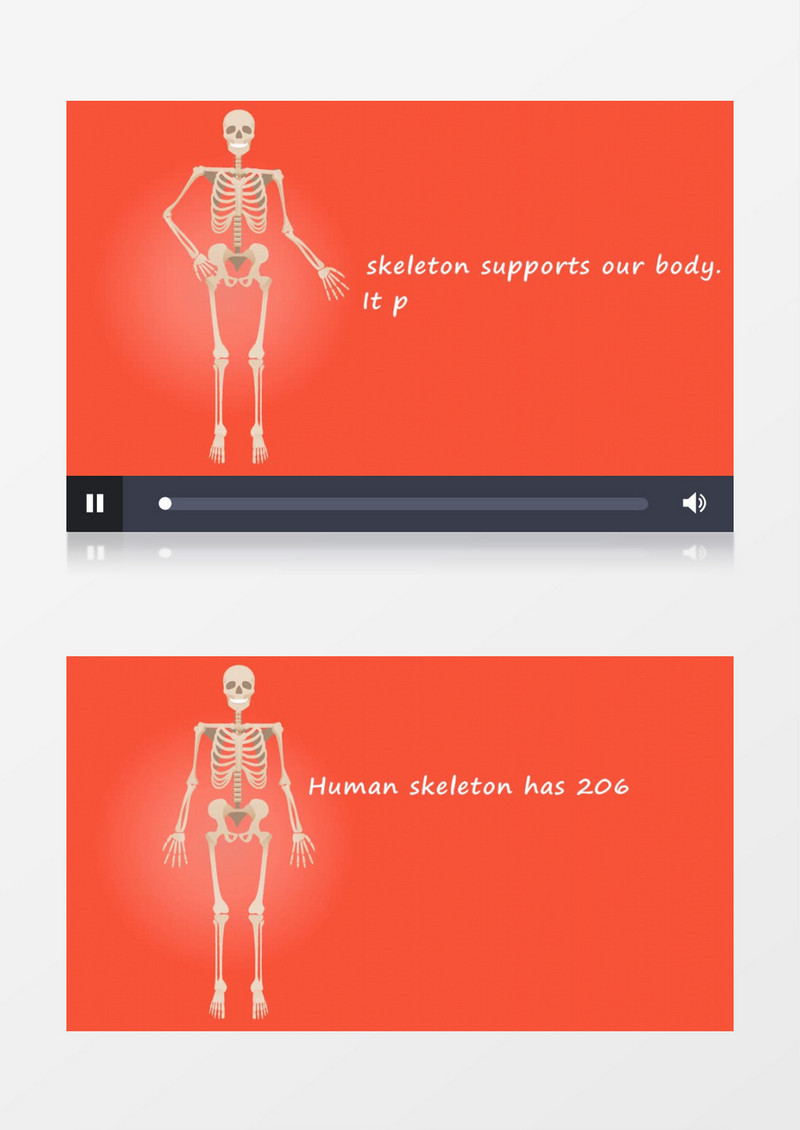 3D动画人物男子骨骼内脏动态视频素材