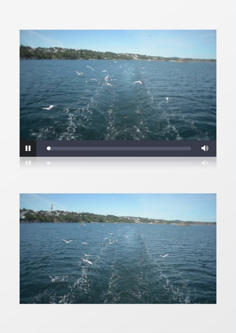 高清航拍海洋上自由飞翔的海鸥实拍视频素材