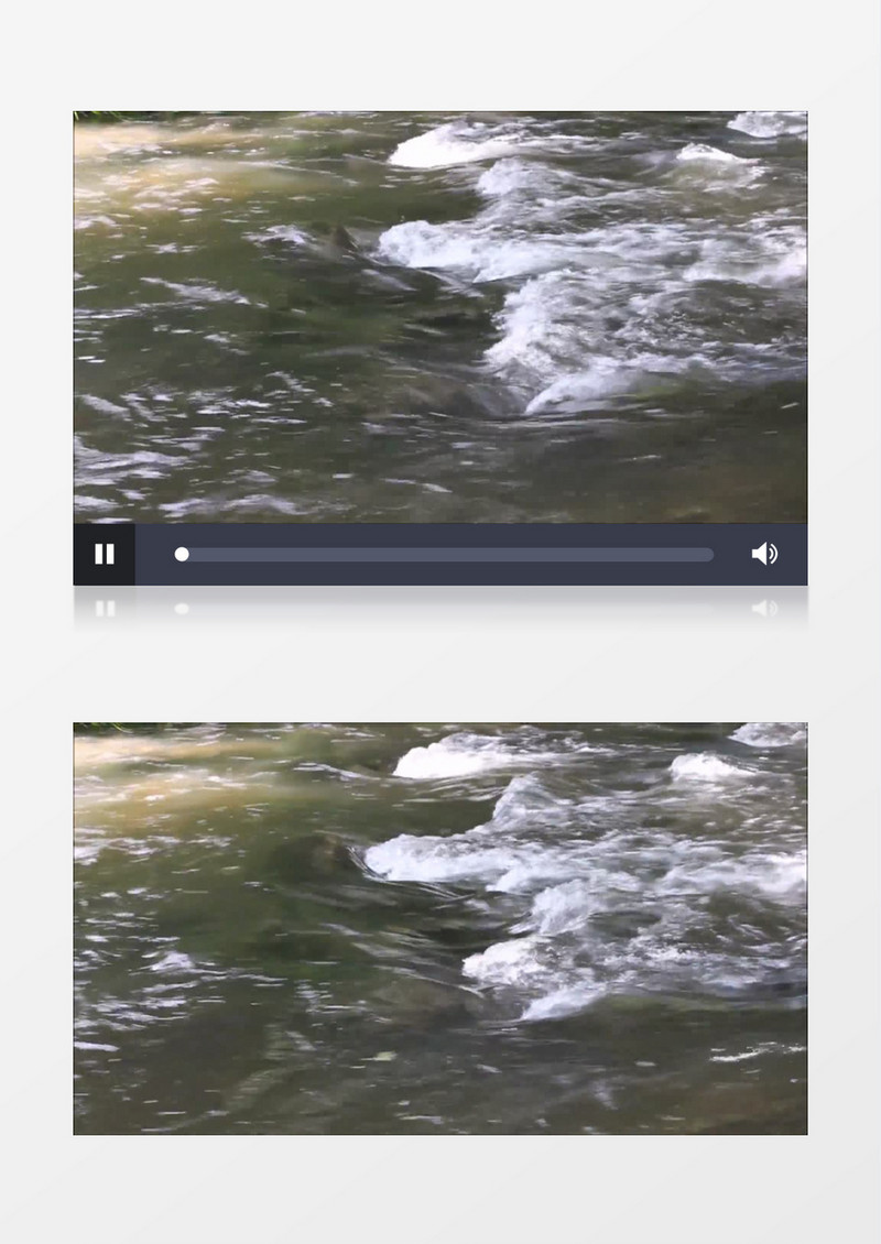 美丽的河流河域水运行实拍视频