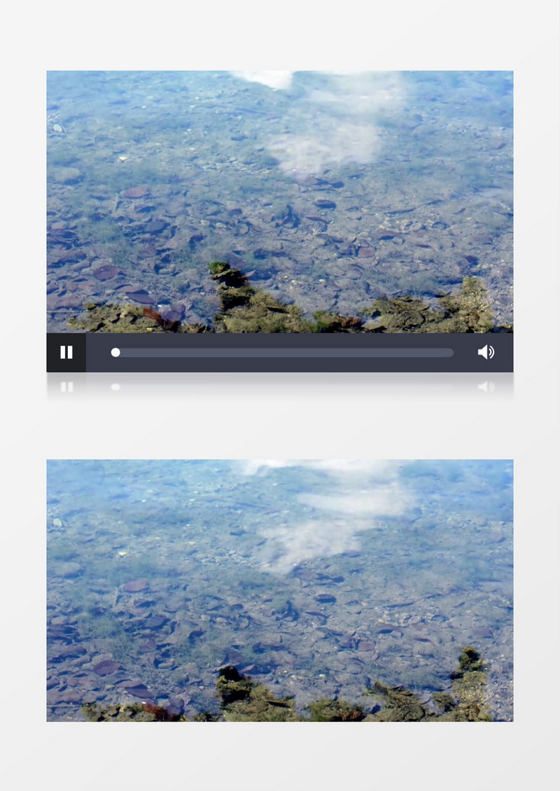 清澈的水面镜像反射现象实拍视频
