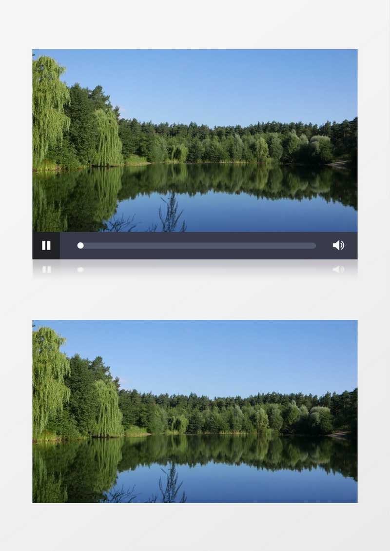 树林中的湖面近距离实拍视频素材