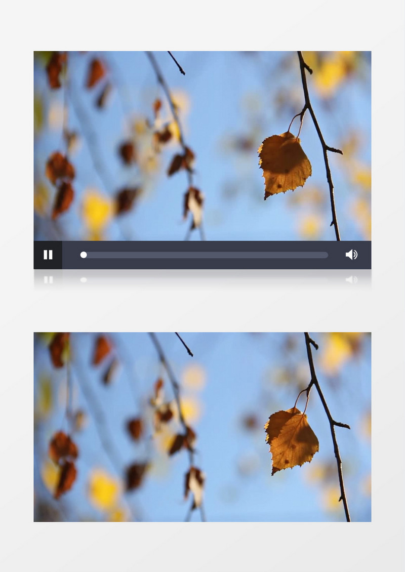 自然风光之植物视频素材MP4实拍视频
