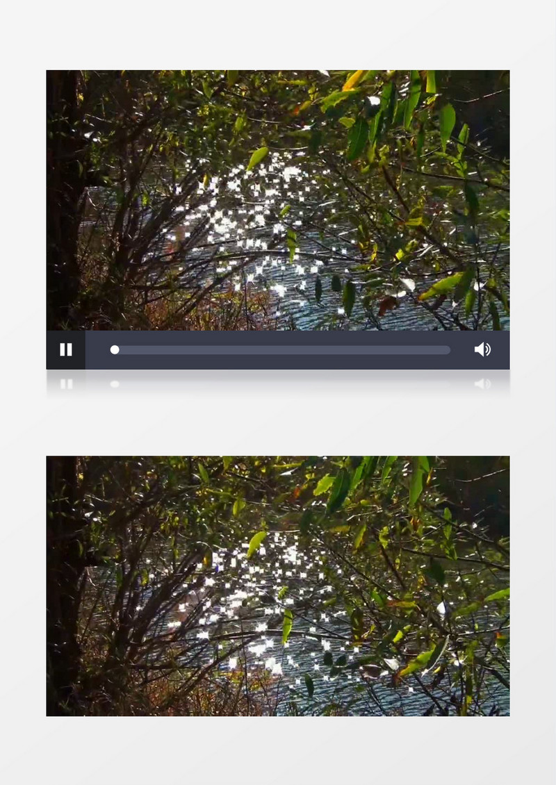 近距离秋季户外湖边树林背景实拍视频素材