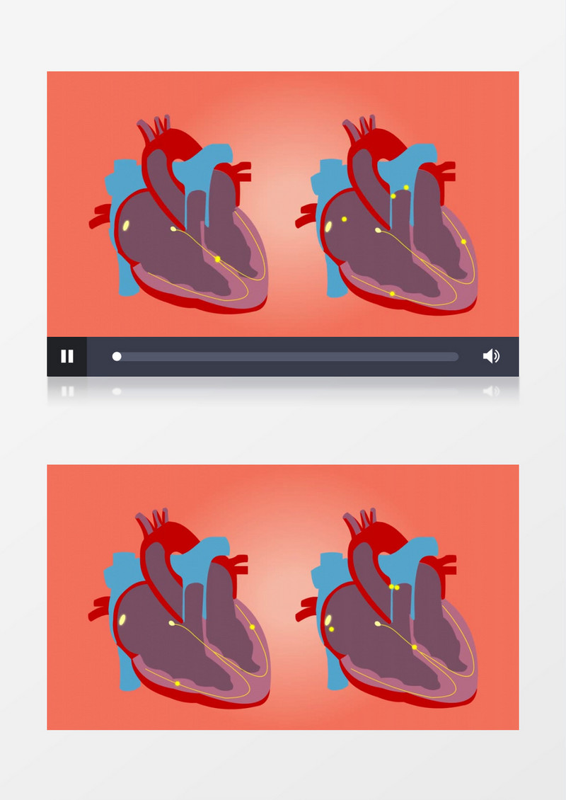 3D动画模拟人体器官心脏心跳视频素材