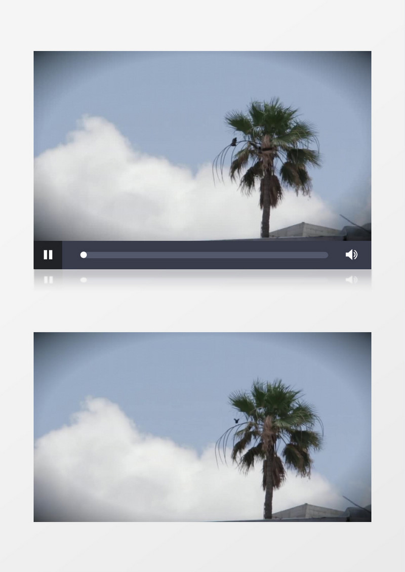 高清拍摄夏天天空沙滩海滩棕榈树实拍视频素材