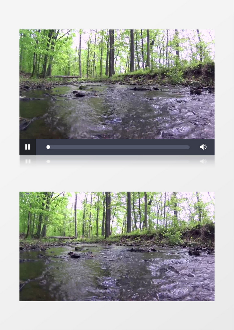 宁静树林小溪流水实拍视频素材
