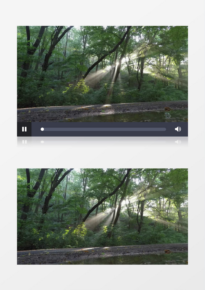 高清近距离拍摄户外森林阳光照射辐射实拍视频素材