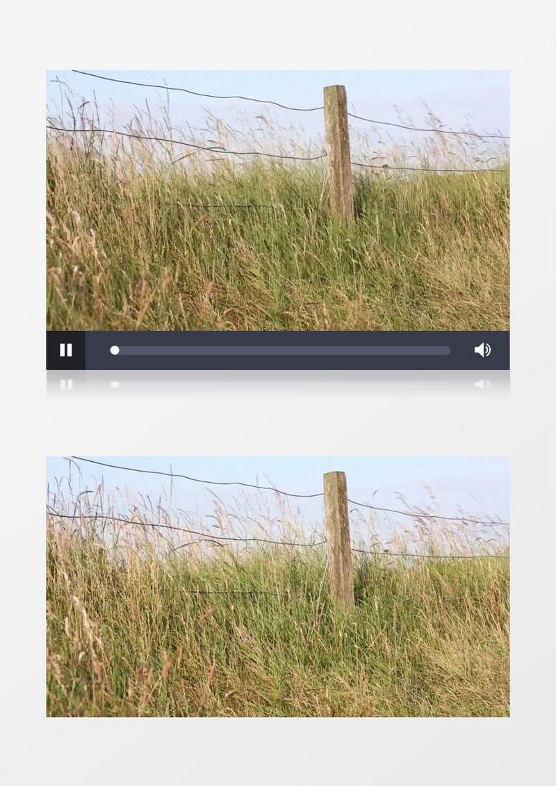 高清近距离拍摄户外农村篱笆墙微风吹拂野草实拍视频素材