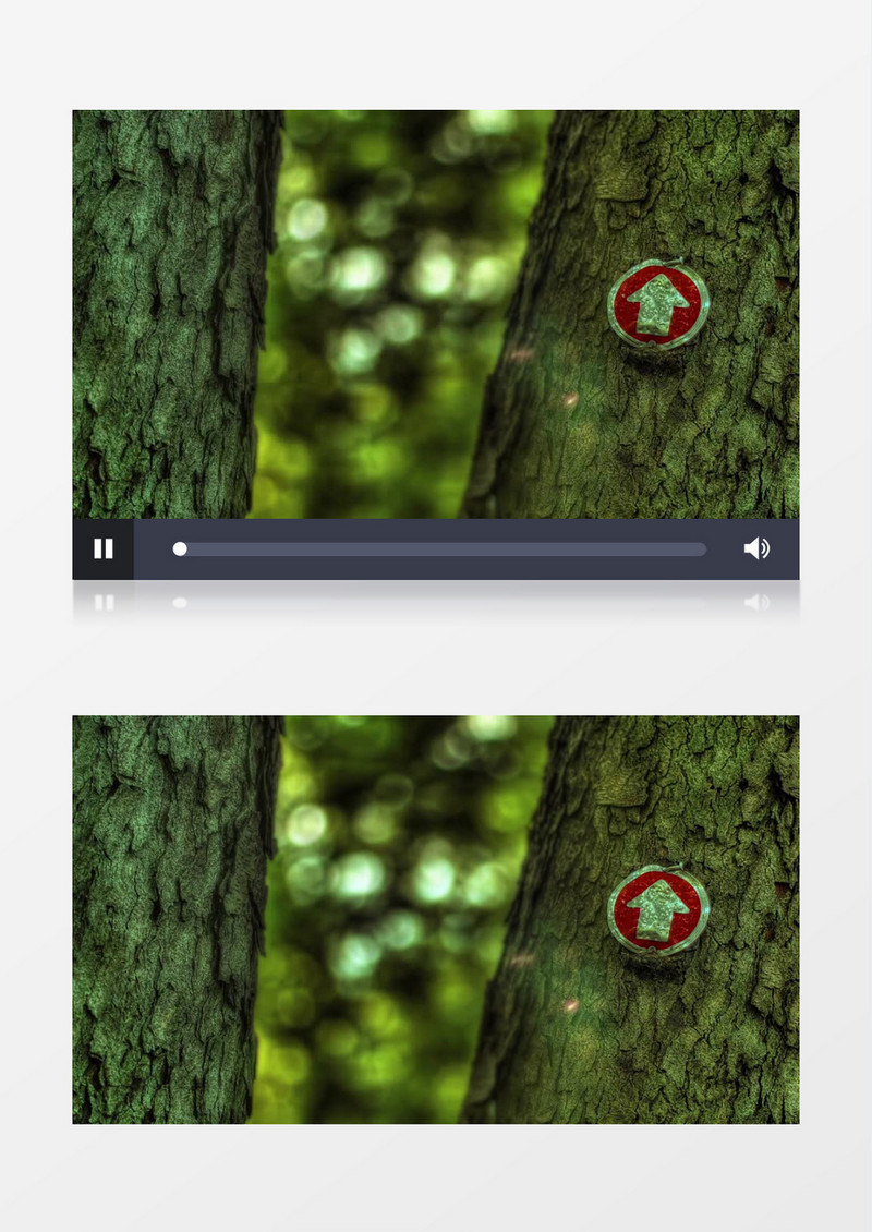 高清实拍森林里树上的指向箭头实拍视频素材