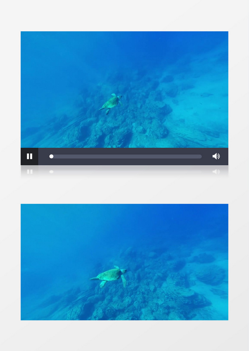 高清拍摄海底世界深水海底海龟游泳实拍视频素材