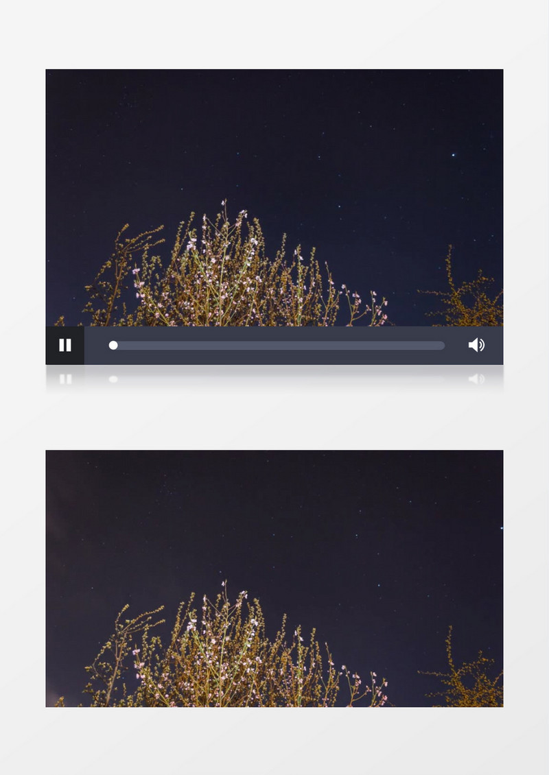 自然风光之鲜花视频素材MP4实拍视频素材