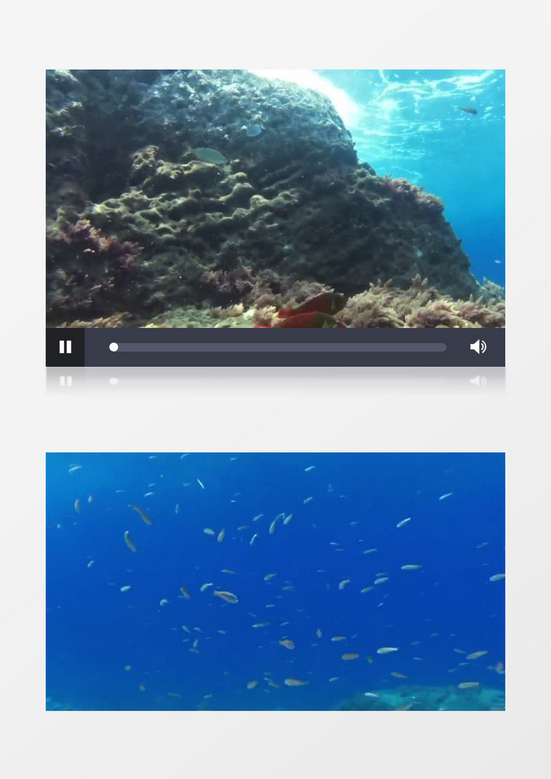 海底拍摄海水清澈鱼群游动美丽海底实拍视频素材