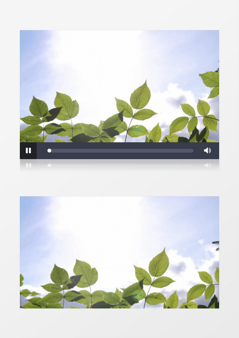 仰拍视觉移动拍摄阳光下草叶蓝天白云清新自然实拍视频素材