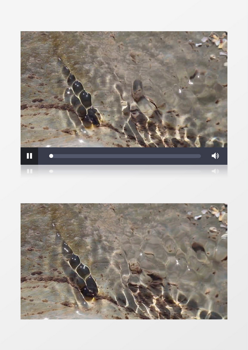 清澈的小溪水面微波实拍视频素材