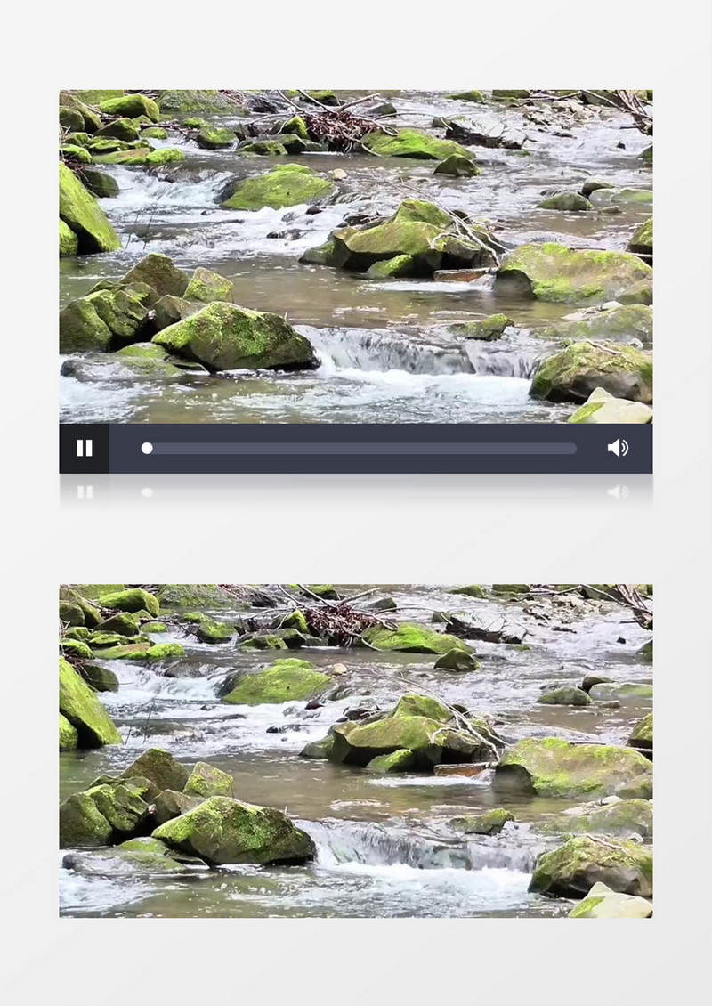 森林潺潺的流水实拍视频素材