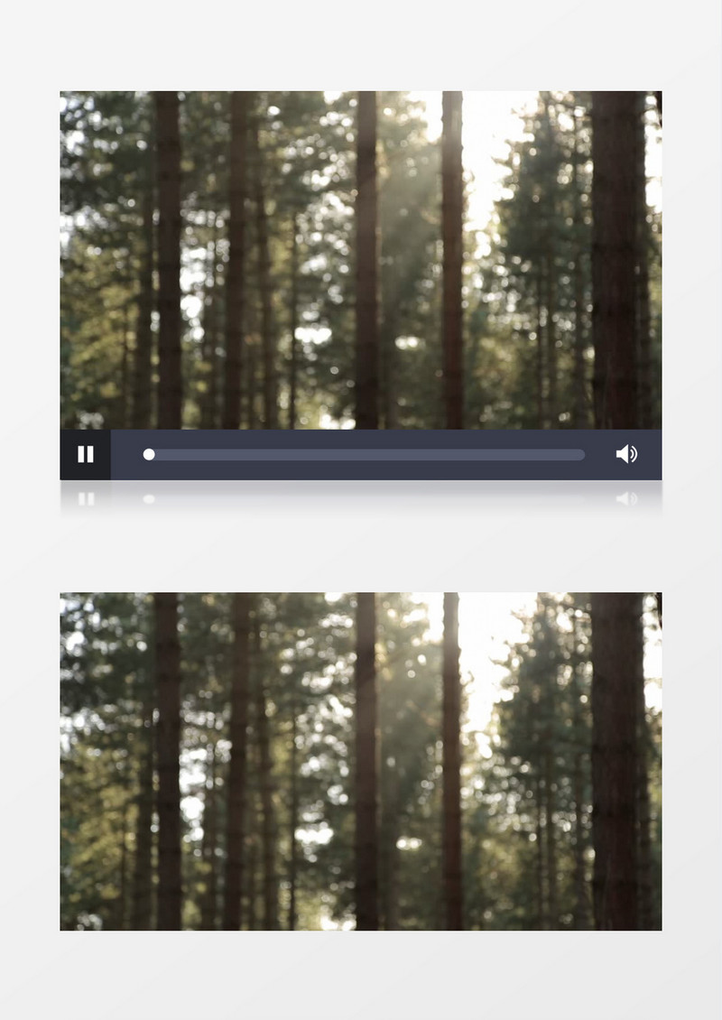树林中的阳光模糊散景实拍视频素材