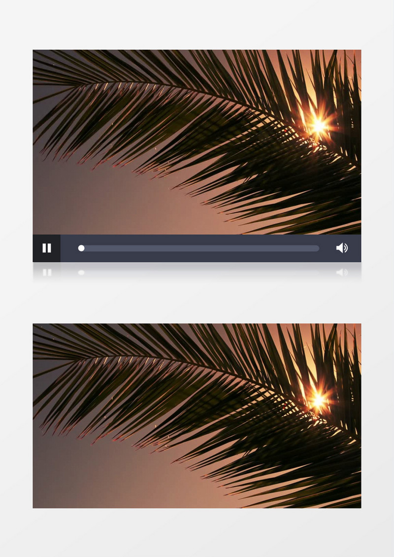 仰拍傍晚的余晖穿过棕榈叶明亮温和实拍视频素材