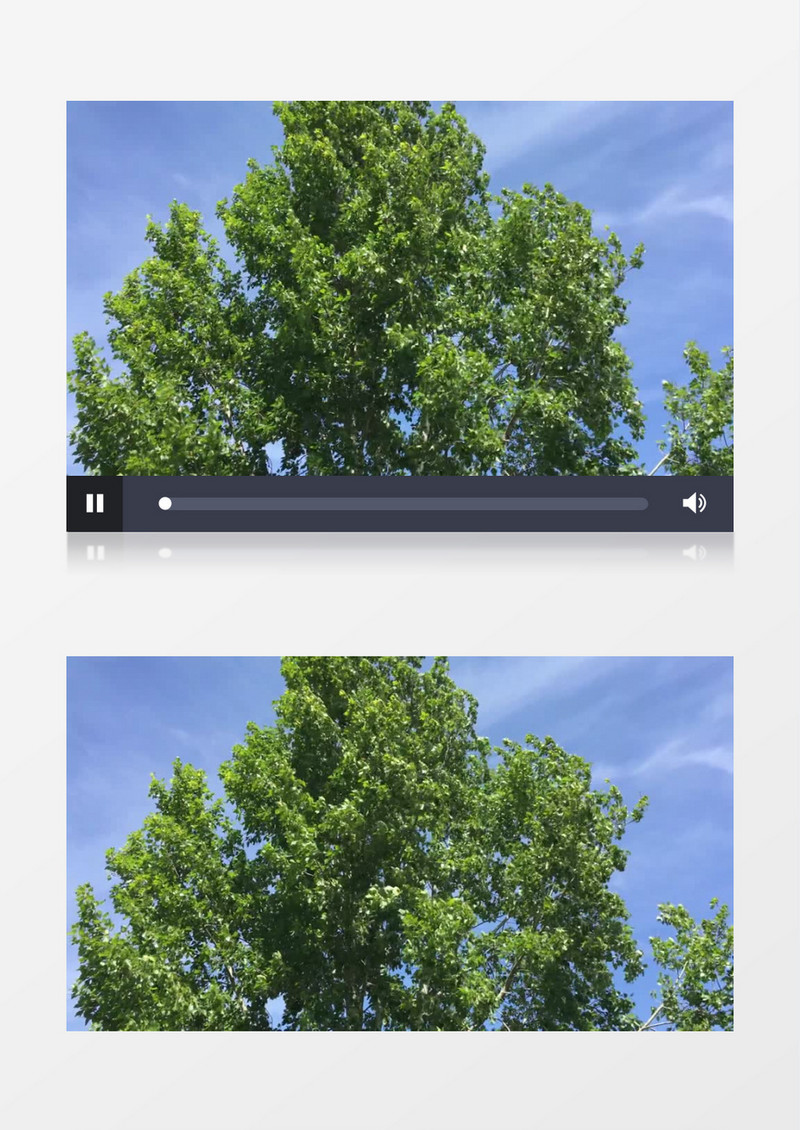 蓝天白云树木近景实拍视频素材