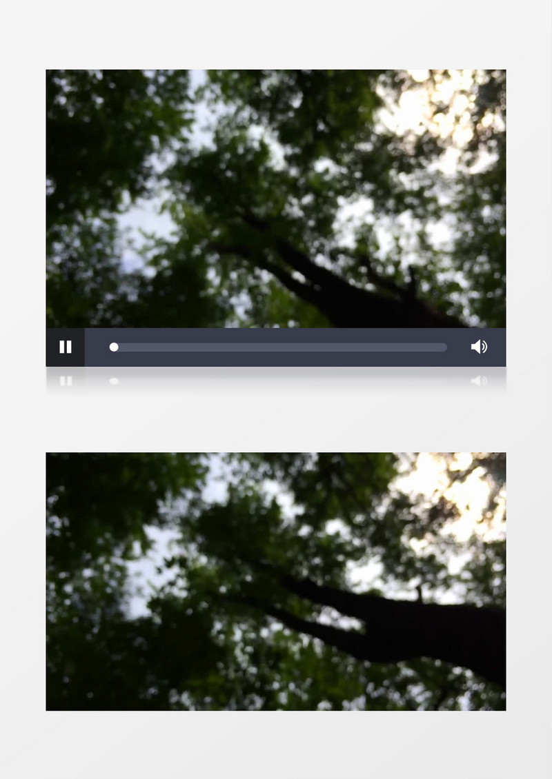 夏天树林树木散景实拍视频素材