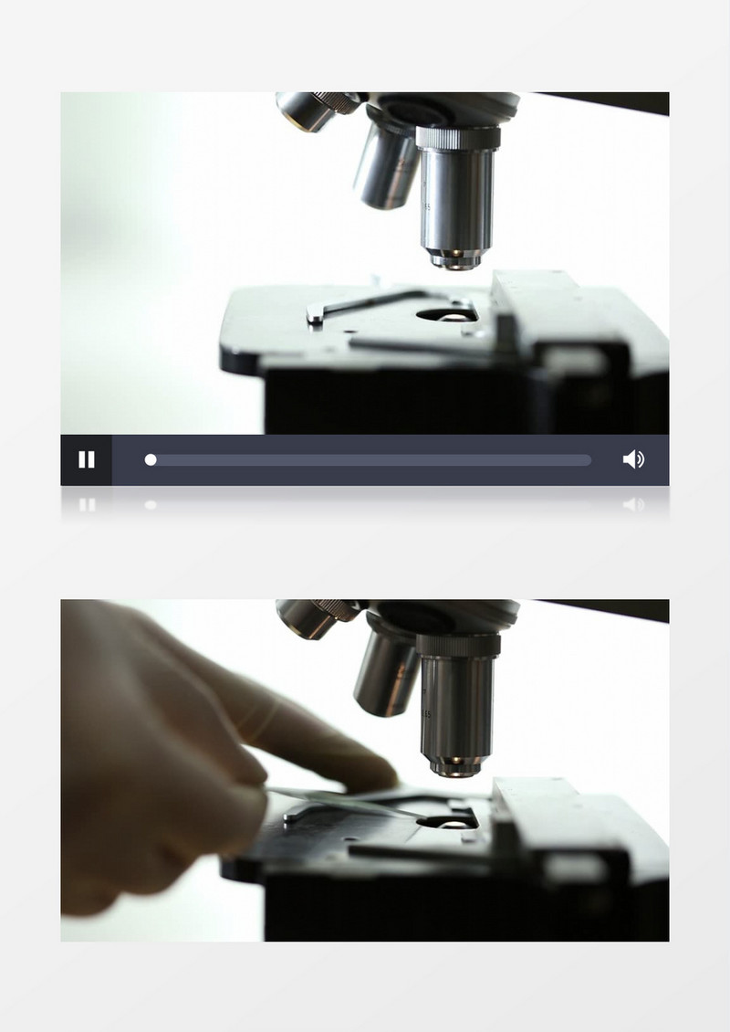 显微镜下放入样本实拍视频素材