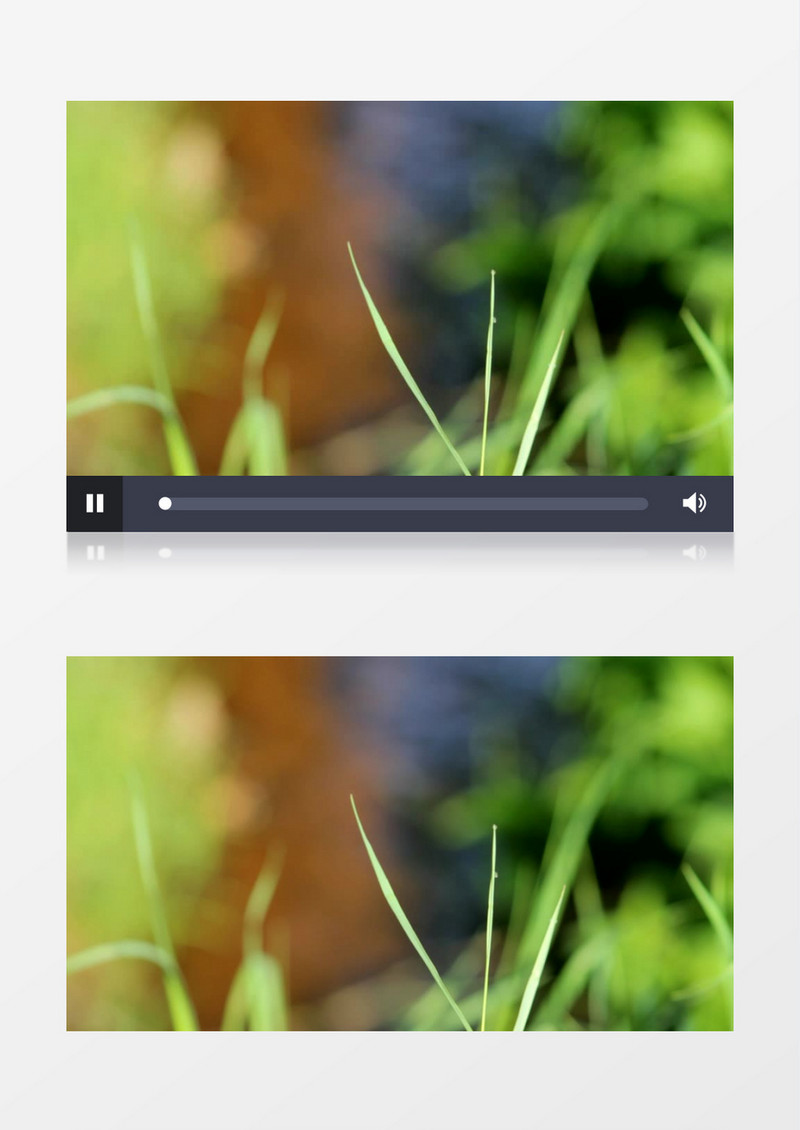 模糊散景拍摄户外夏天春天湖泊绿色的草实拍视频素材