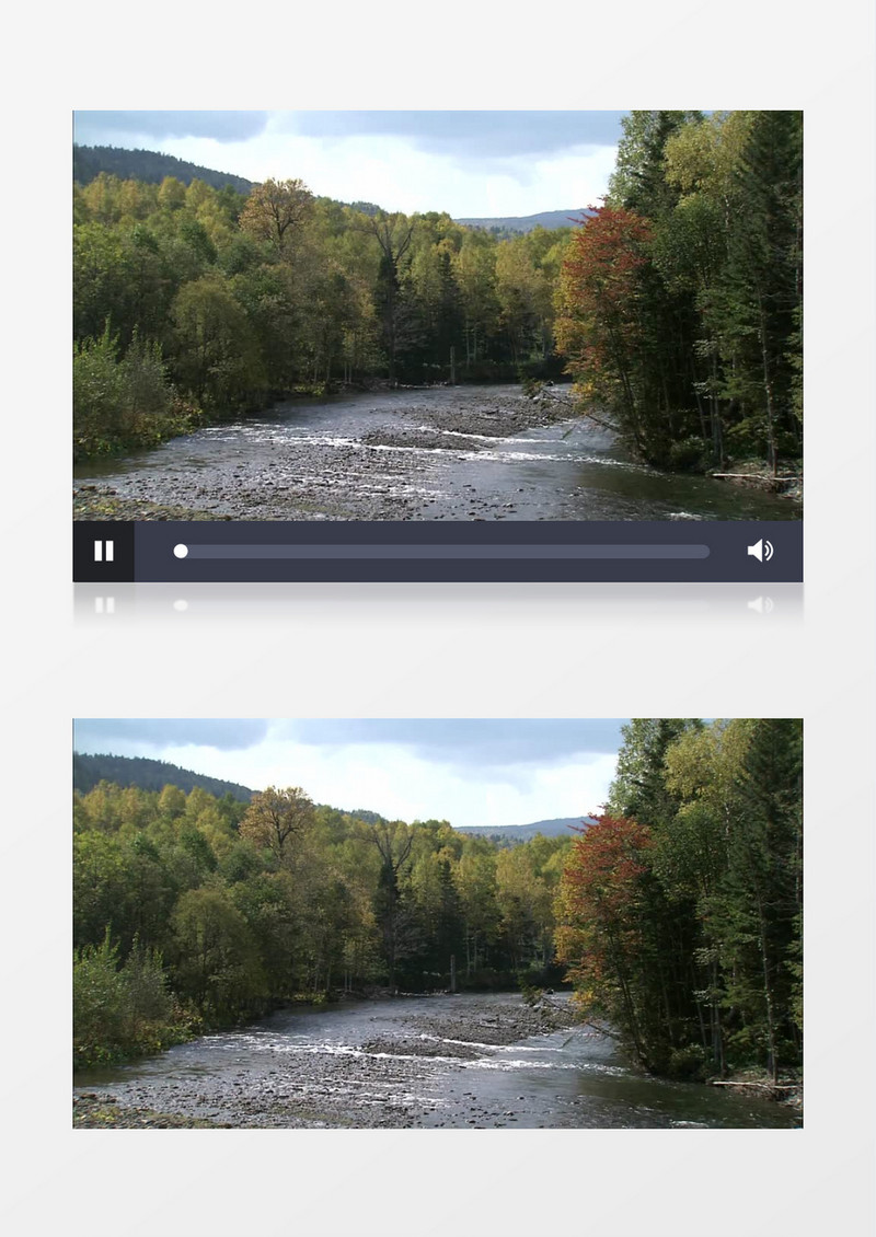 山间森林的河流流动高清实拍视频素材