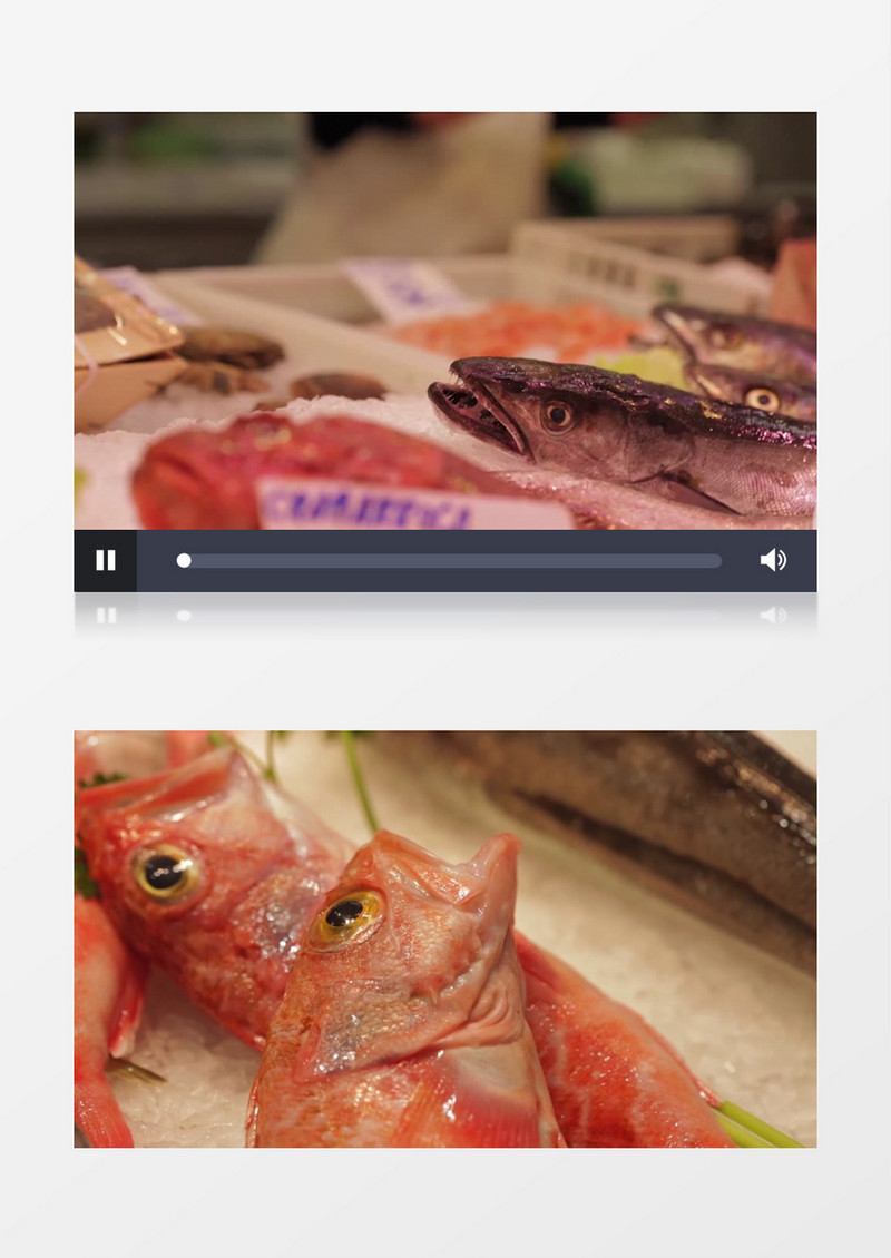 生鲜摊各种鱼实拍视频素材