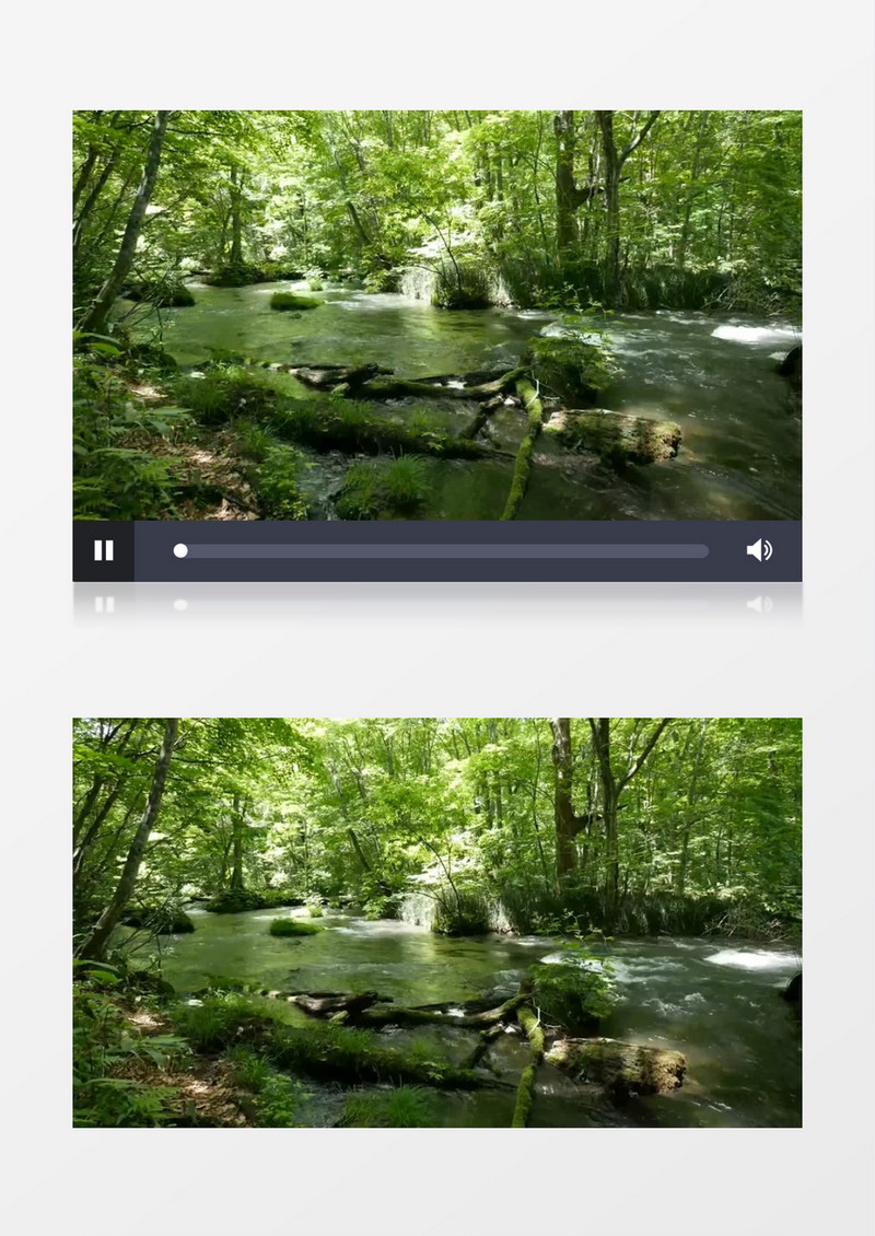 树林中缓缓流淌的小河实拍视频素材