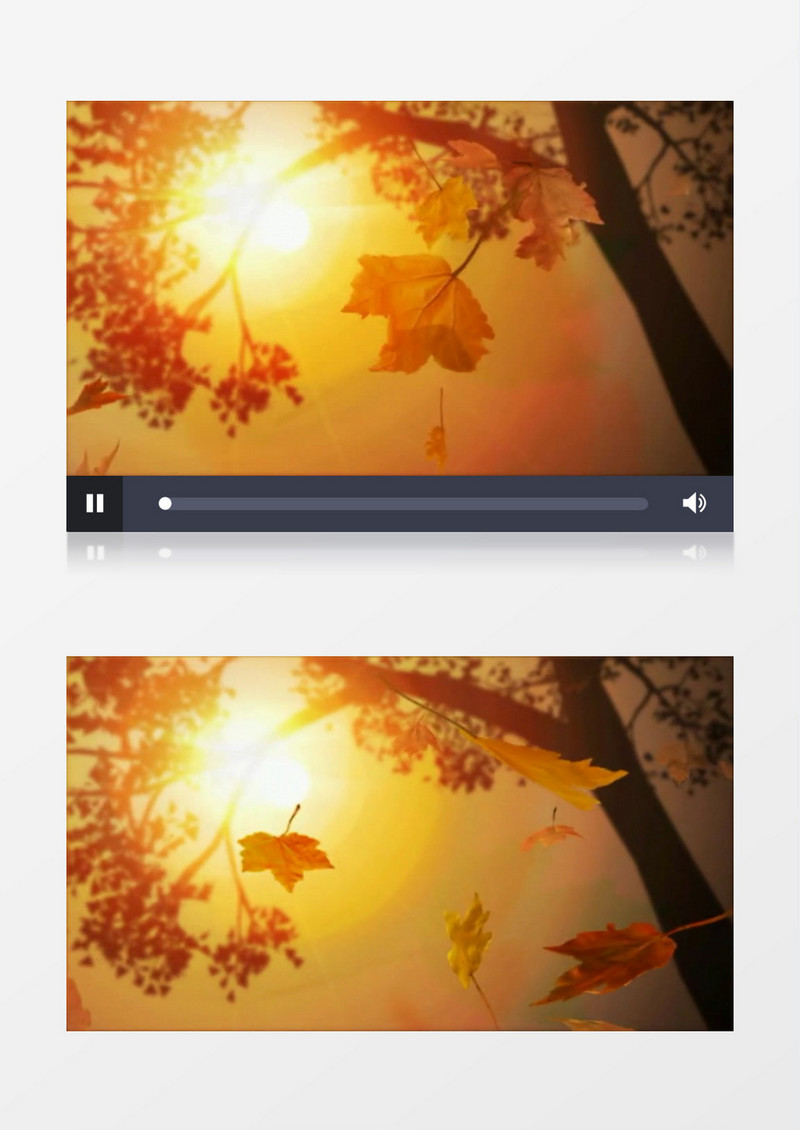 秋天落叶背景视频素材