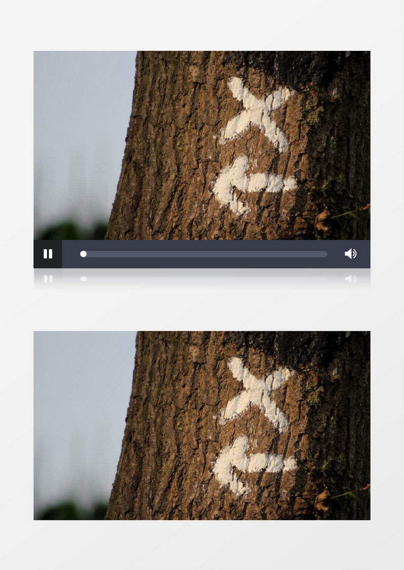 近距离特写森林树木上的记号实拍视频素材