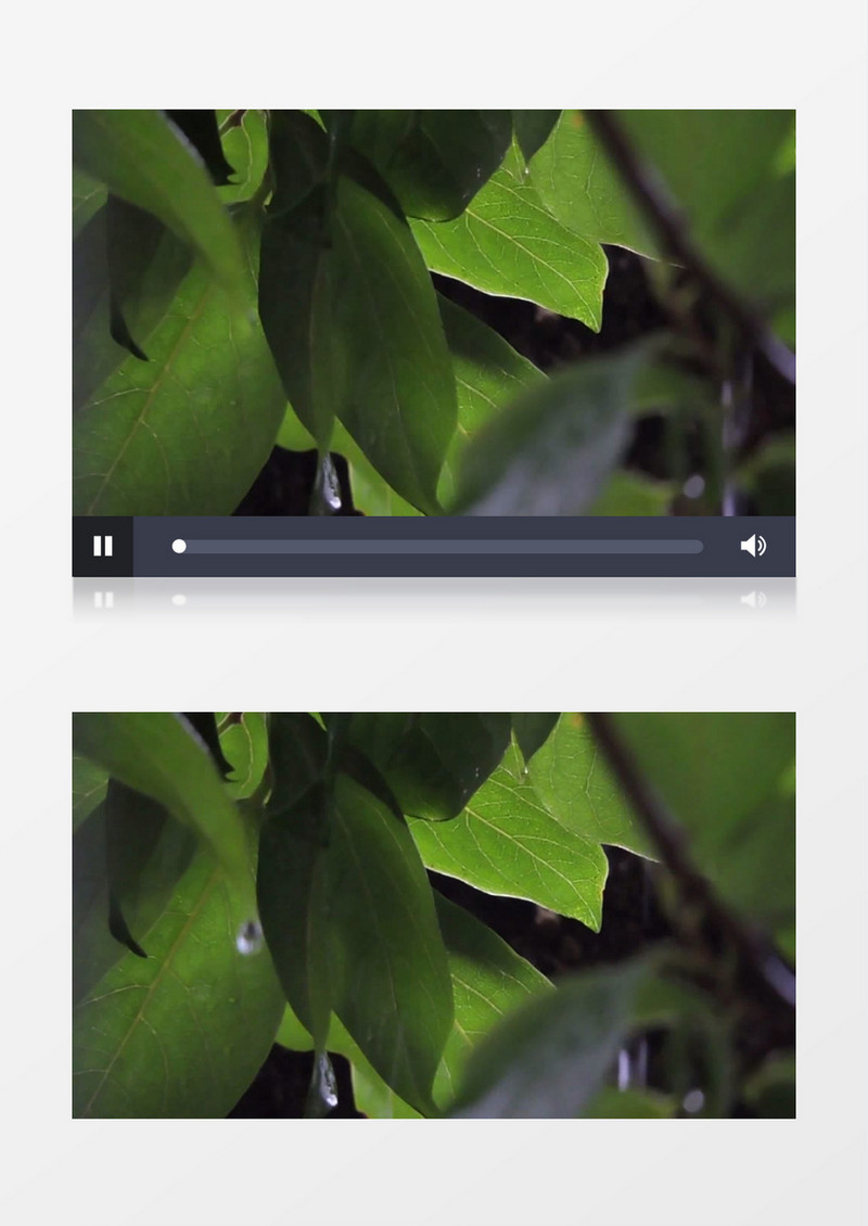 夏天下雨绿色植物实拍视频素材