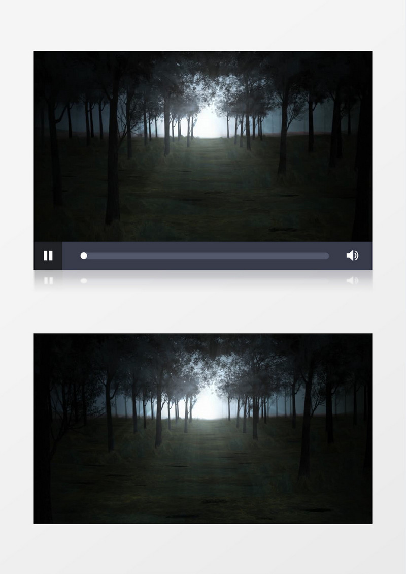 夜空下的小树林视频素材